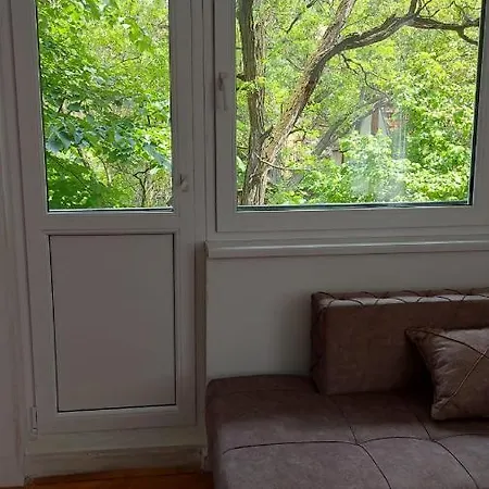 Milica Apartman Versec