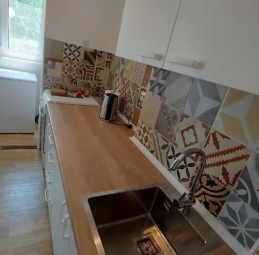 Lejlighed Milica Vrsac